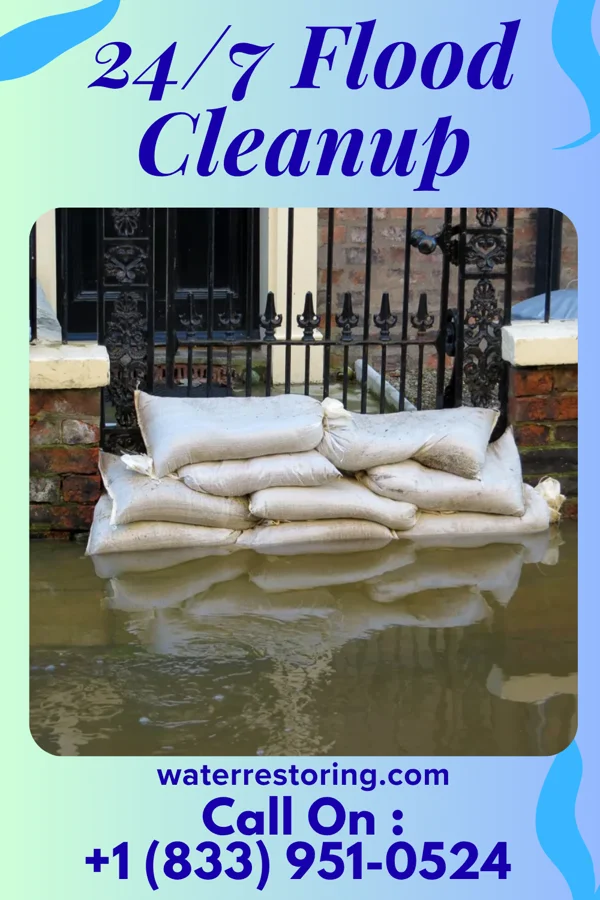24/7 Flood Cleanup in Lake Lorelei, OH