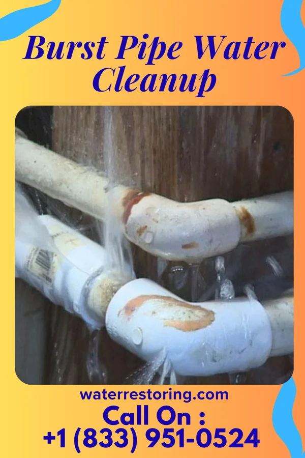 Burst Pipe Water Cleanup in Lake Lorelei, OH