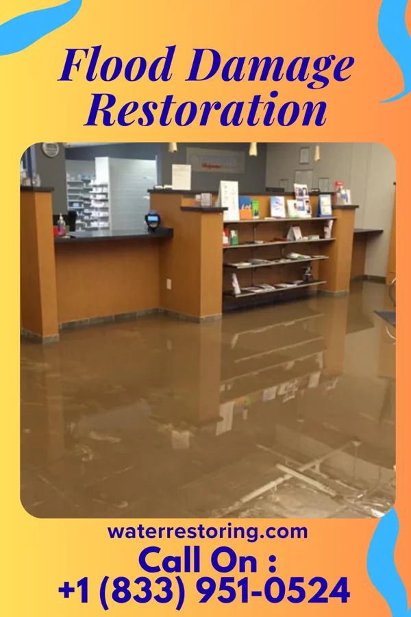 Flood Damage Restoration in Lake Lorelei, OH