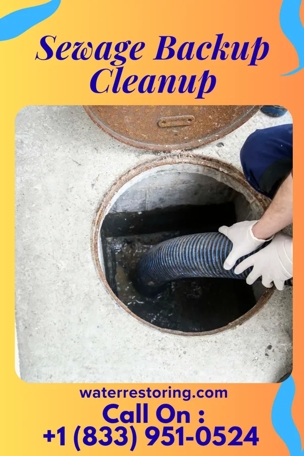 Sewage Backup Cleanup in Lake Lorelei, OH