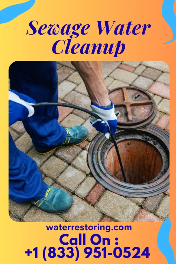 Sewage Water Cleanup in Lake Lorelei, OH