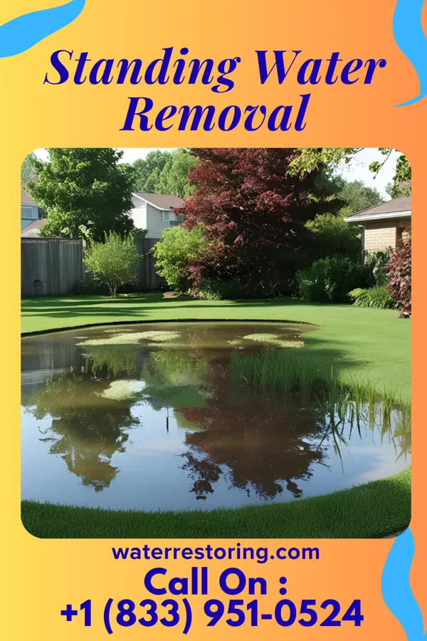 Standing Water Removal in Lake Lorelei, OH